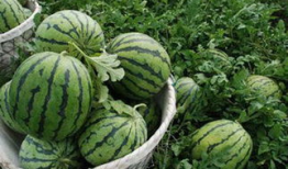 五一吃瓜爆料今日吃瓜热门事件,盘点今日热门爆料事件